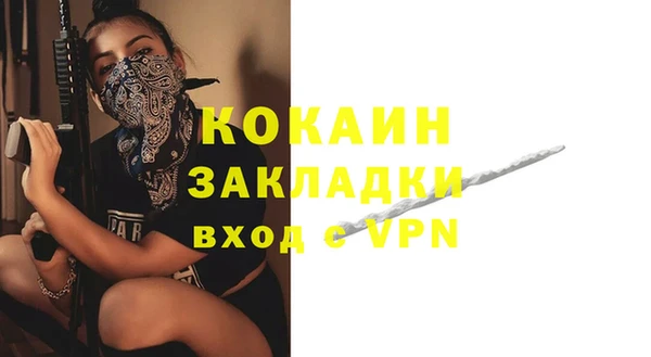 дурь Новодвинск
