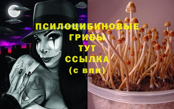 экстази Богданович