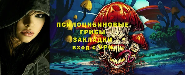 экстази Богданович