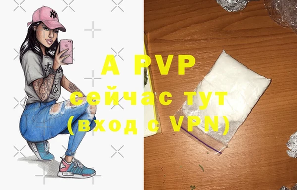 экстази Богданович