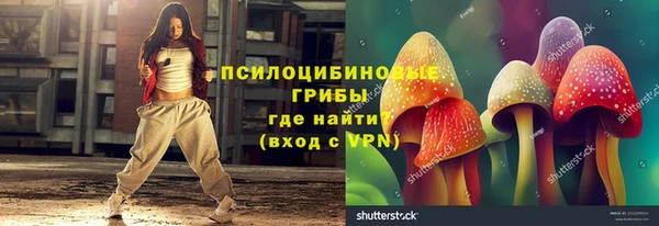 экстази Богданович