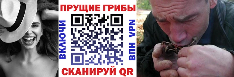цены наркотик  Тосно  Псилоцибиновые грибы мухоморы 